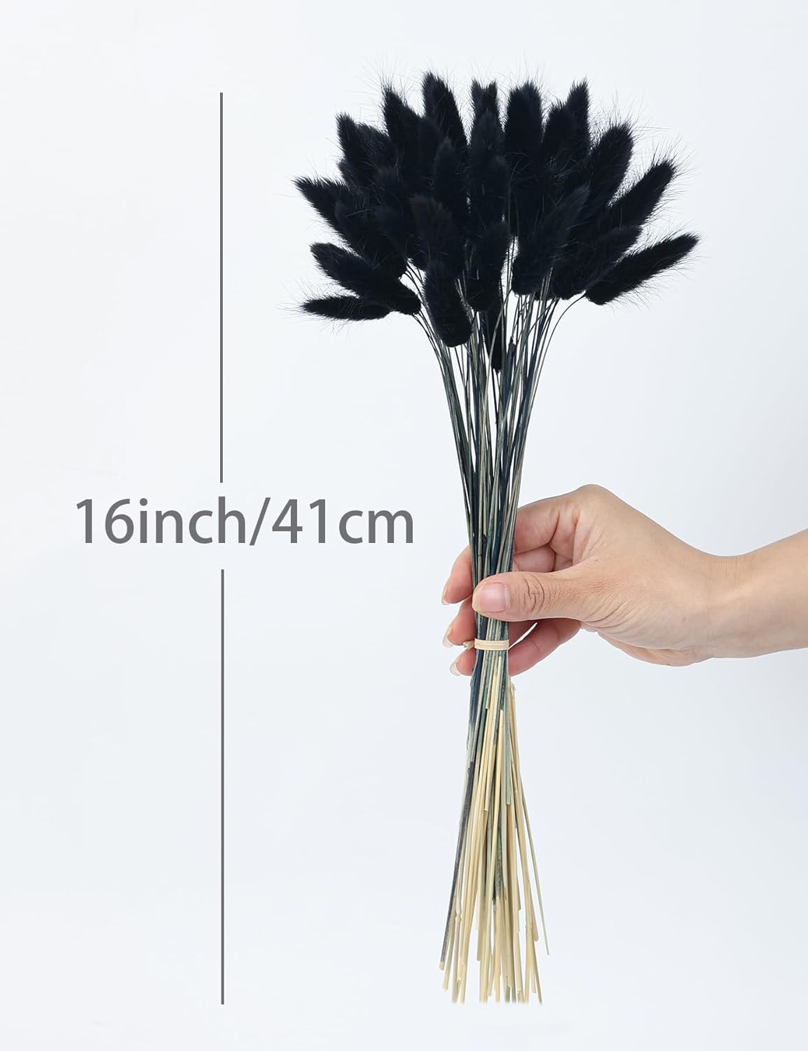 110pcs Black Dried Bunny Tail Flowers for DIY Decor