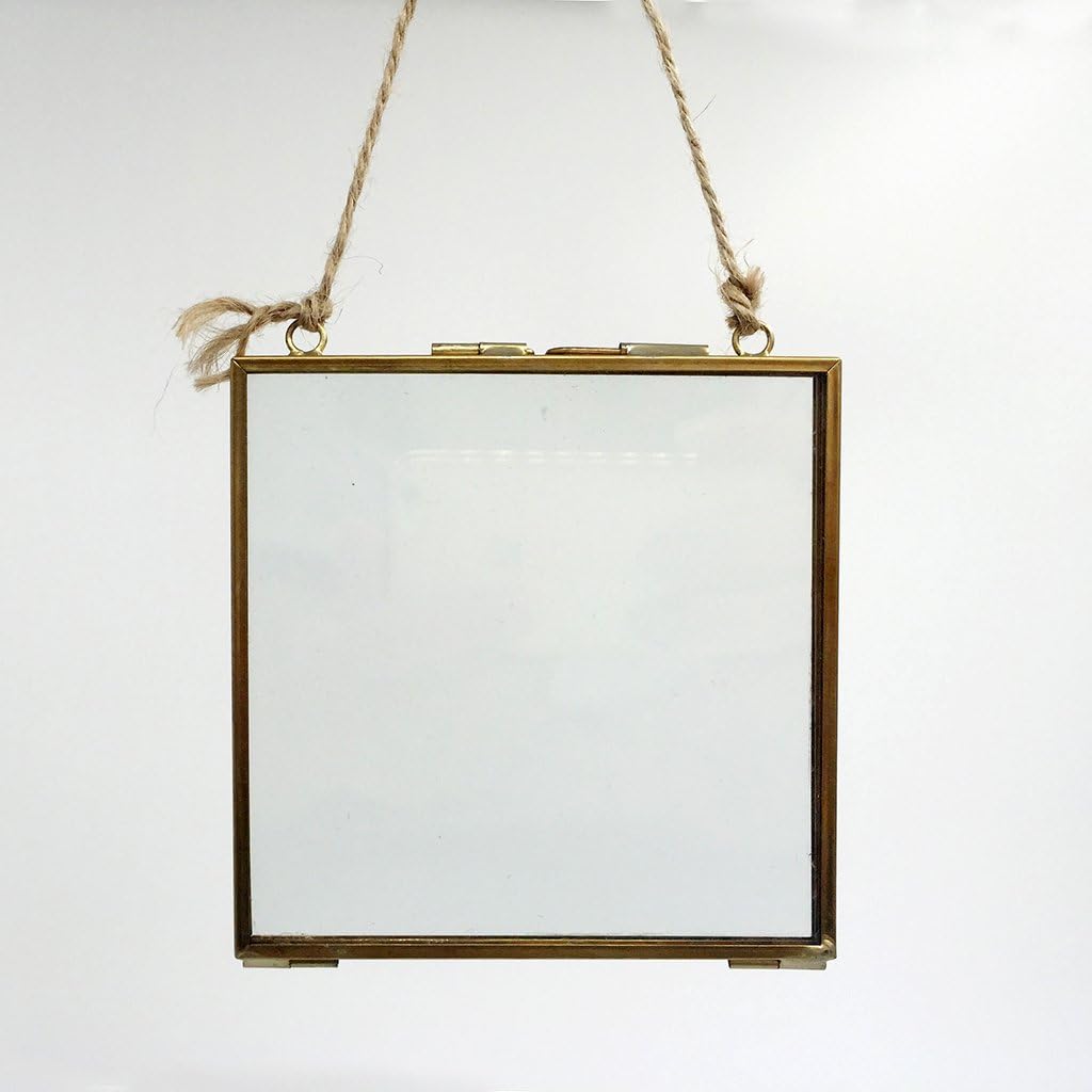 Double Glass Floating Frame Brass and Glass Wall Decor