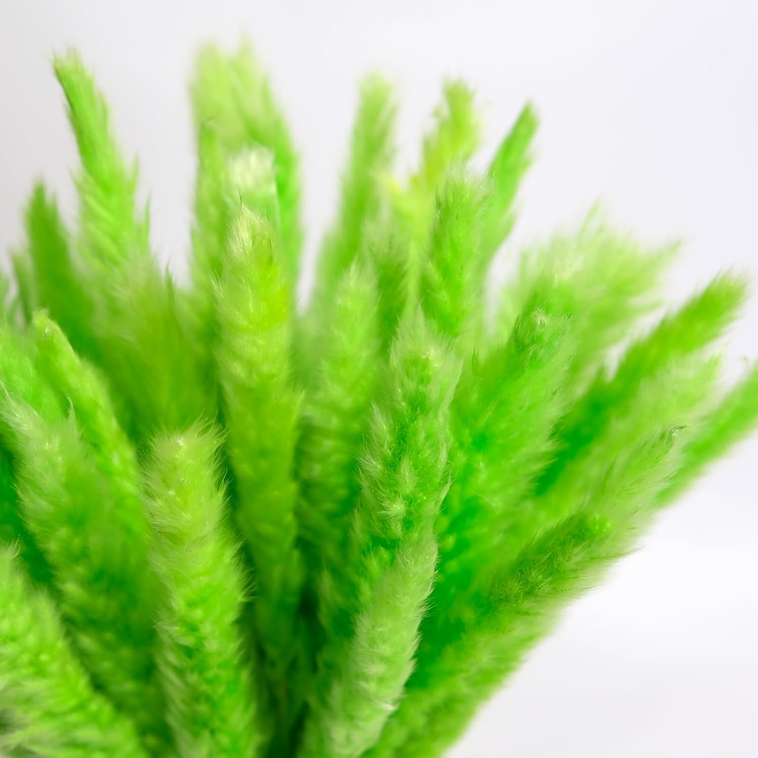 30PCS Green Pampas Grass Bouquet for Home and Gifting