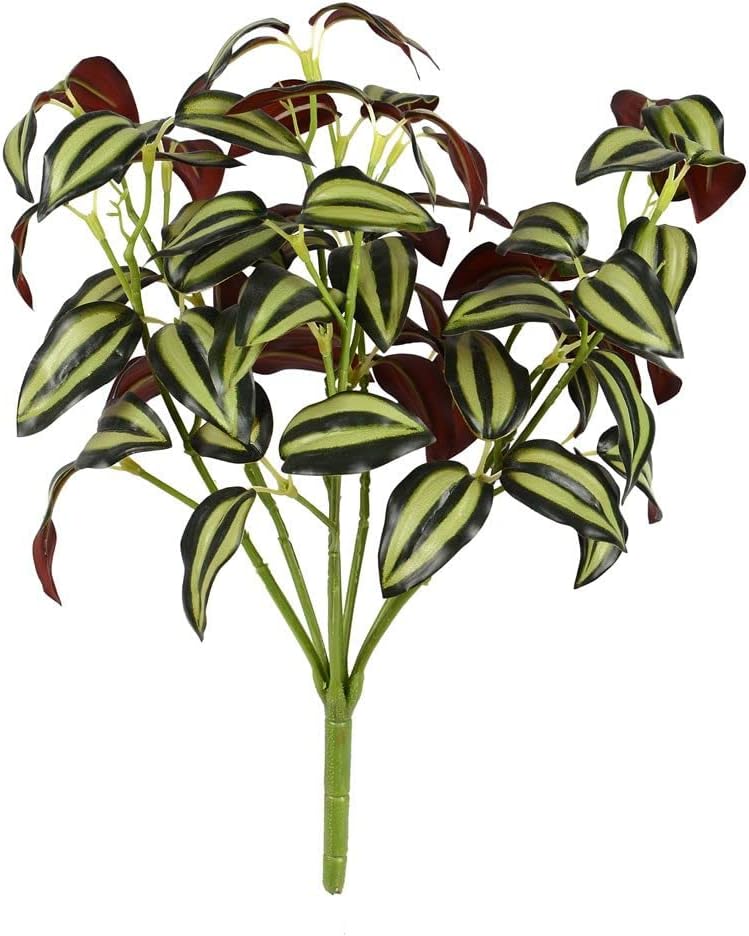 125 Inch Green Wandering Jew Bush 3 Pack