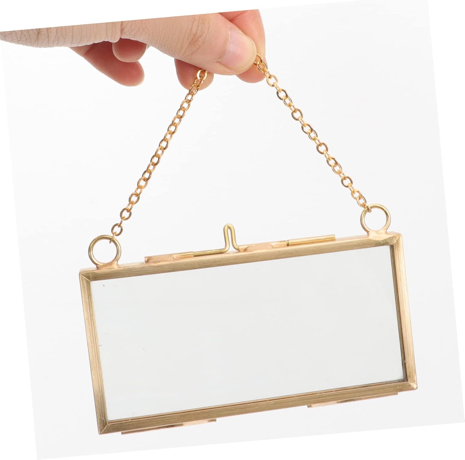 Healifty Brass Frame for Dried Flowers and Artwork Display
