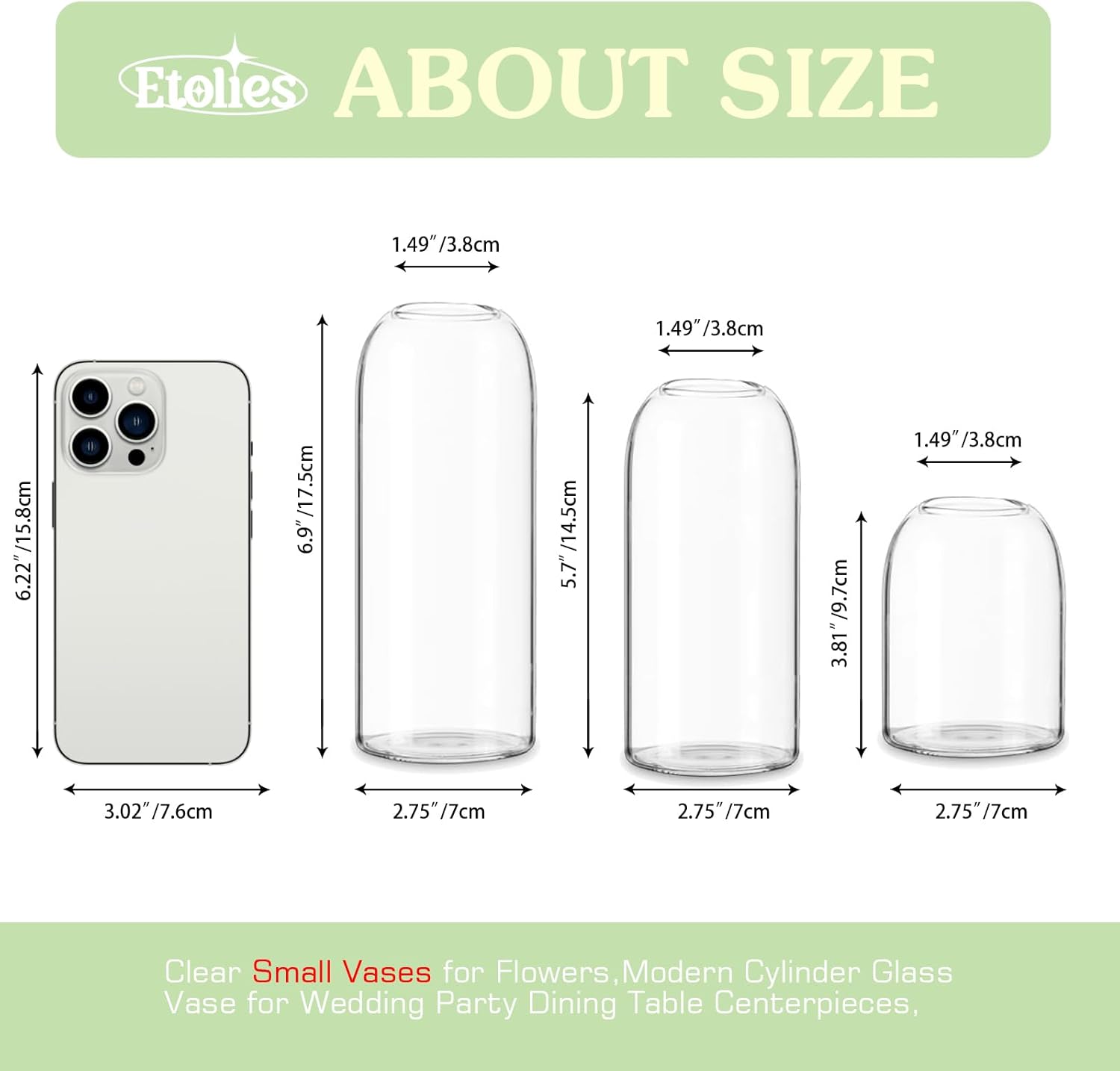 Etolies Clear Glass Vase Set of 12 Modern Cylinder Design