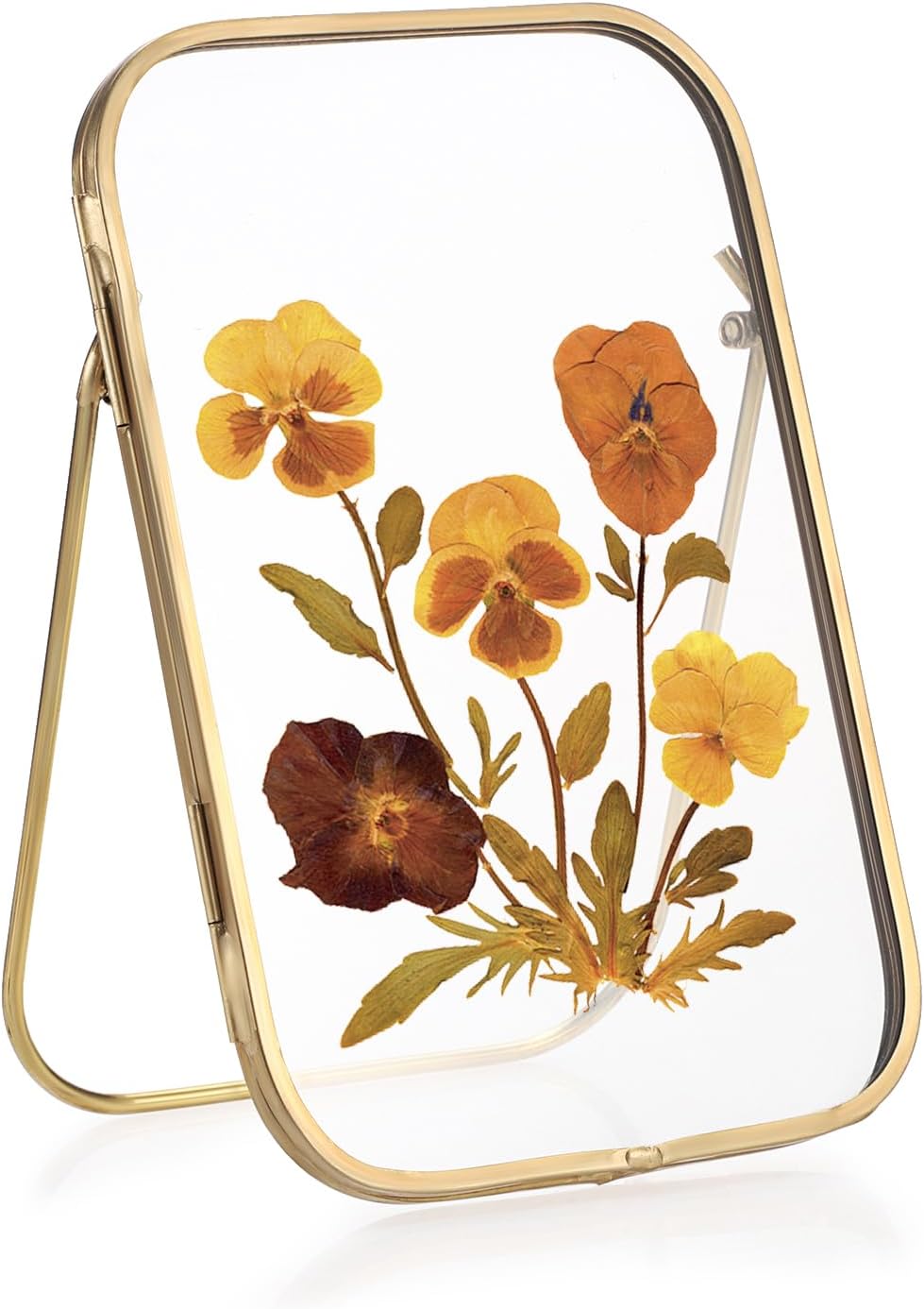 4x6 Inch Double Glass Pressed Flower Frame with Gold Frame