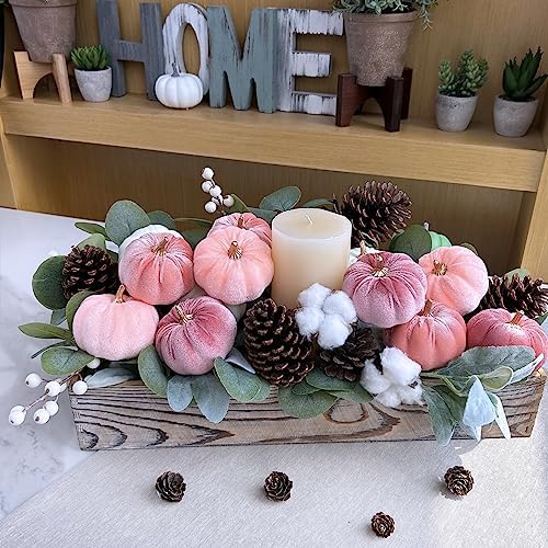 Winlyn 12 Pcs Small Velvet Pumpkin Decor Set