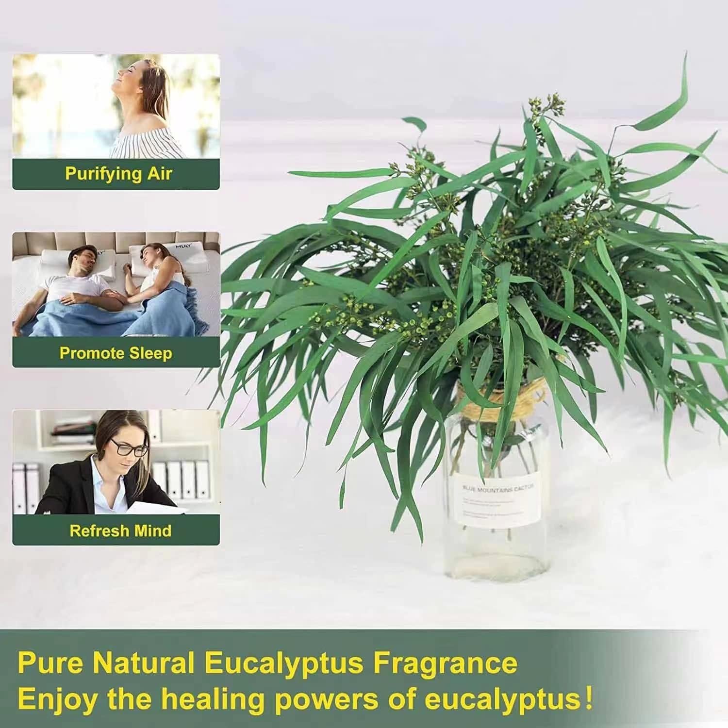 17 Inch Preserved Eucalyptus Stems for Home Decor