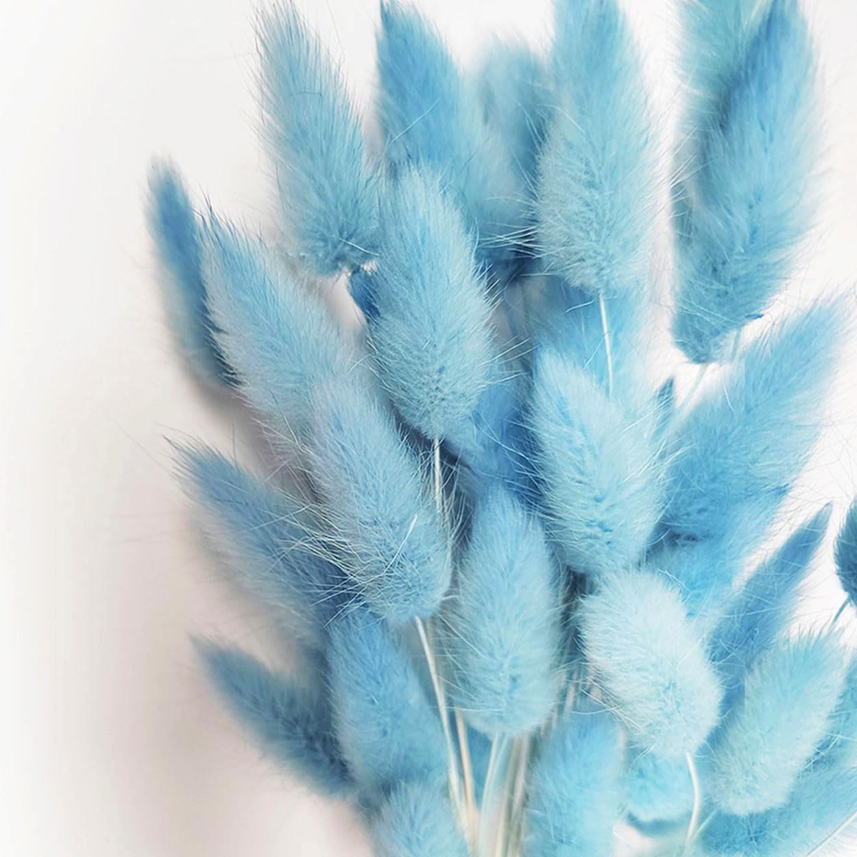 COSOKUU Bunny Tails Dried Flowers 100pcs Light Blue