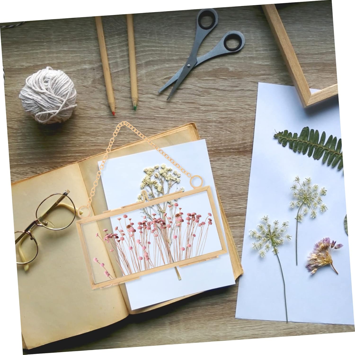 Healifty Brass Frame for Dried Flowers and Artwork Display