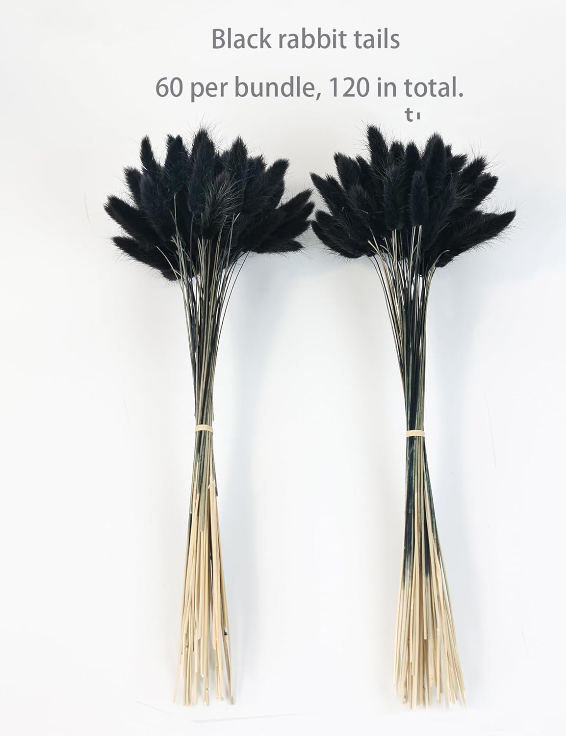 110pcs Black Dried Bunny Tail Flowers for DIY Decor