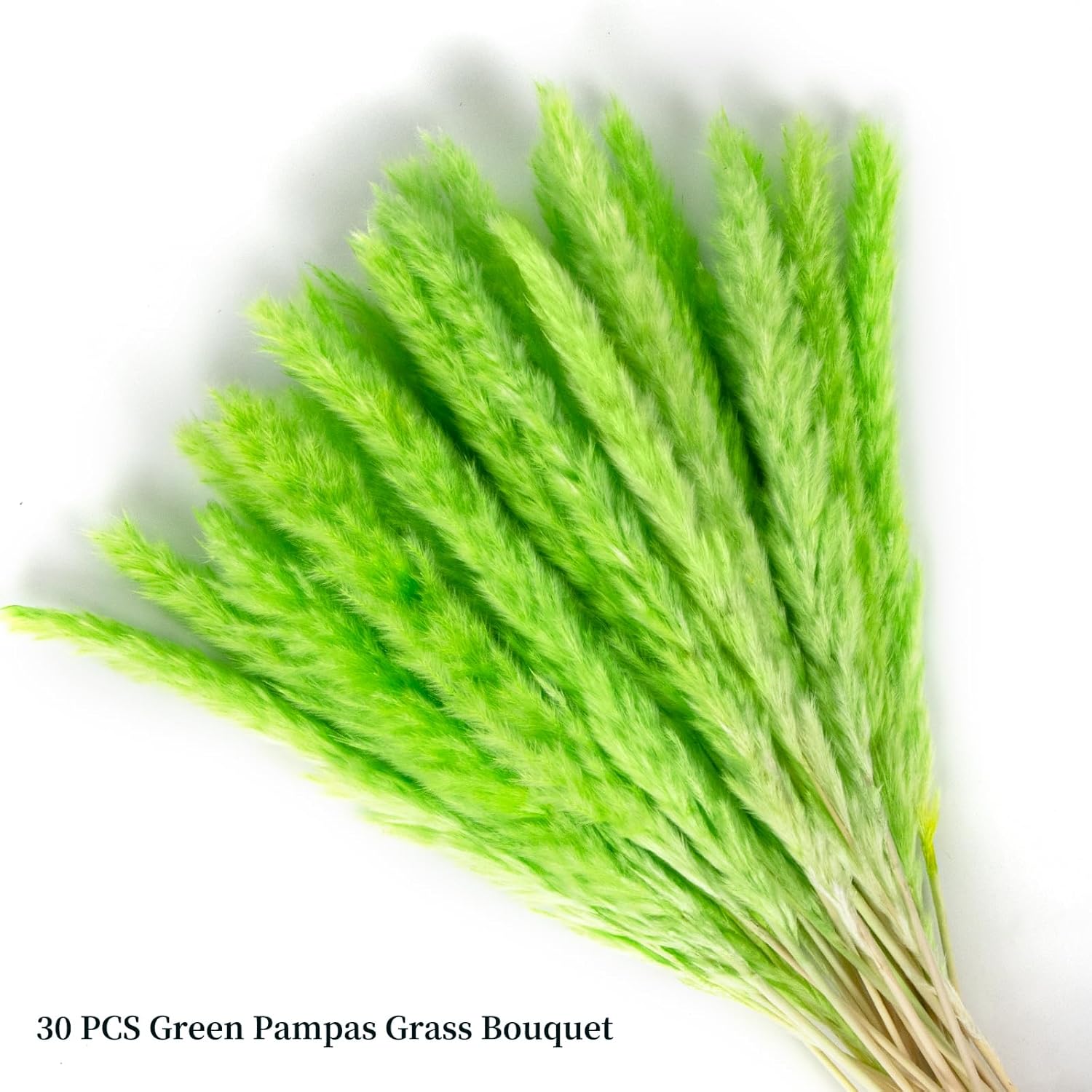 30PCS Green Pampas Grass Bouquet for Home and Gifting