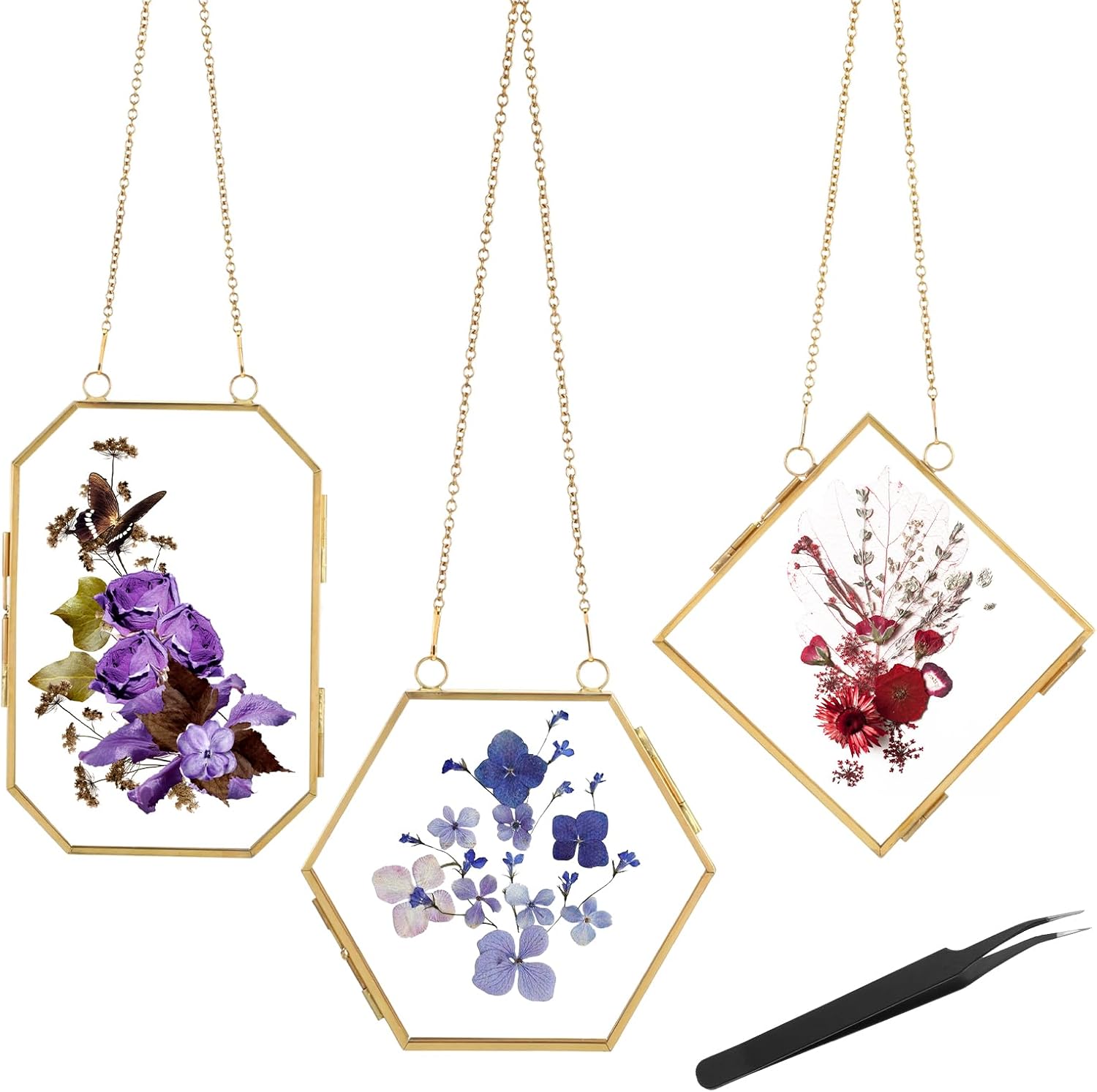 3pcs Pressed Flower Frames with Gold Chain Brass Wall Hanging Display