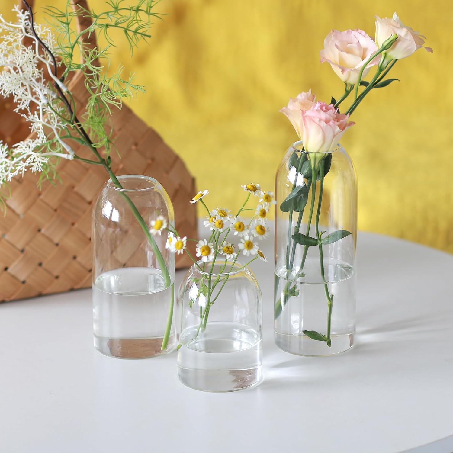 Etolies Clear Glass Vase Set of 12 Modern Cylinder Design