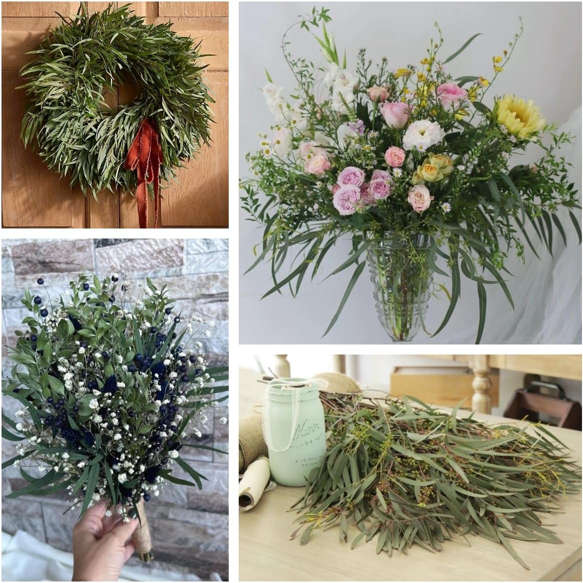 17 Inch Preserved Eucalyptus Stems for Home Decor