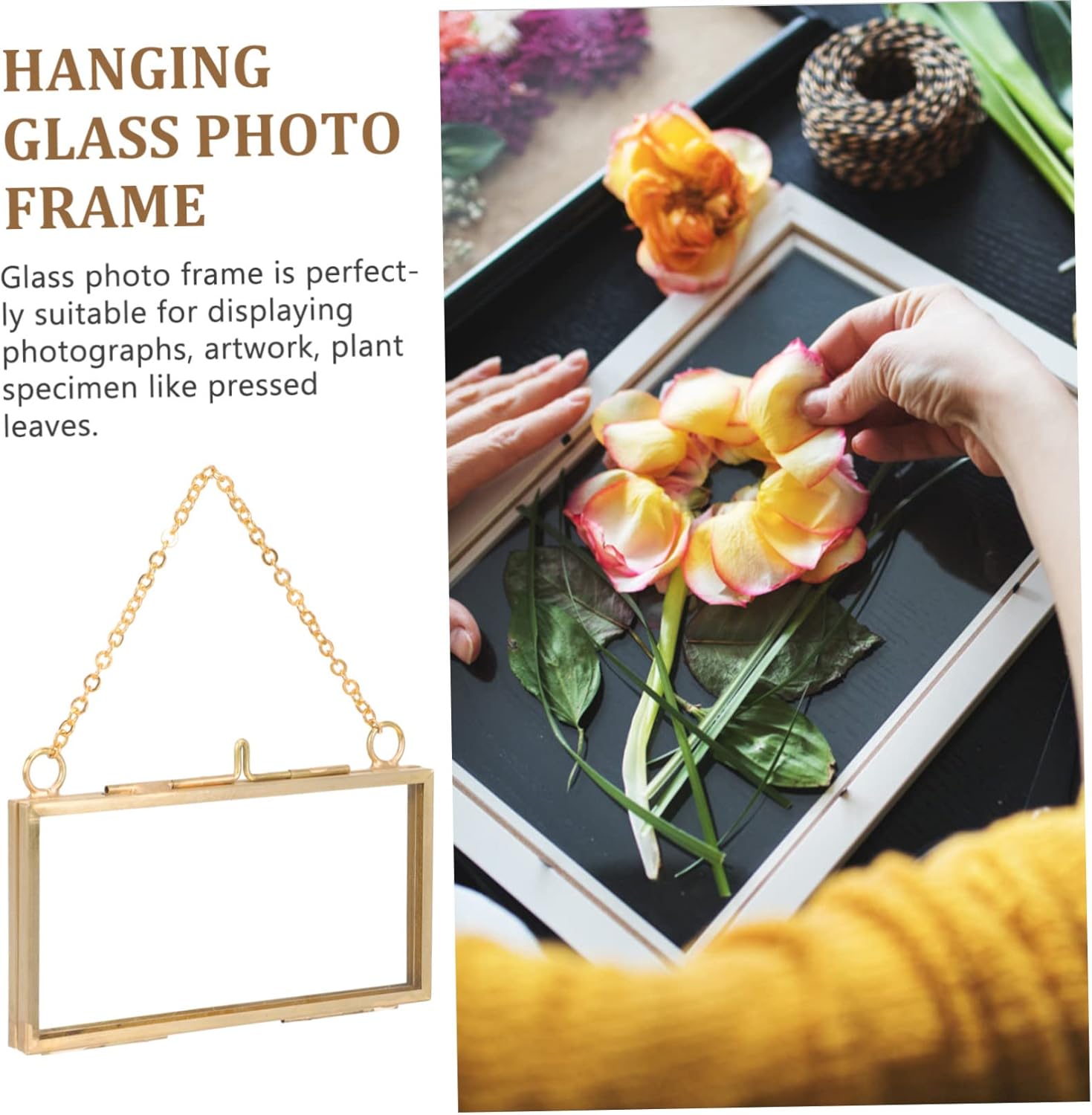Healifty Brass Frame for Dried Flowers and Artwork Display
