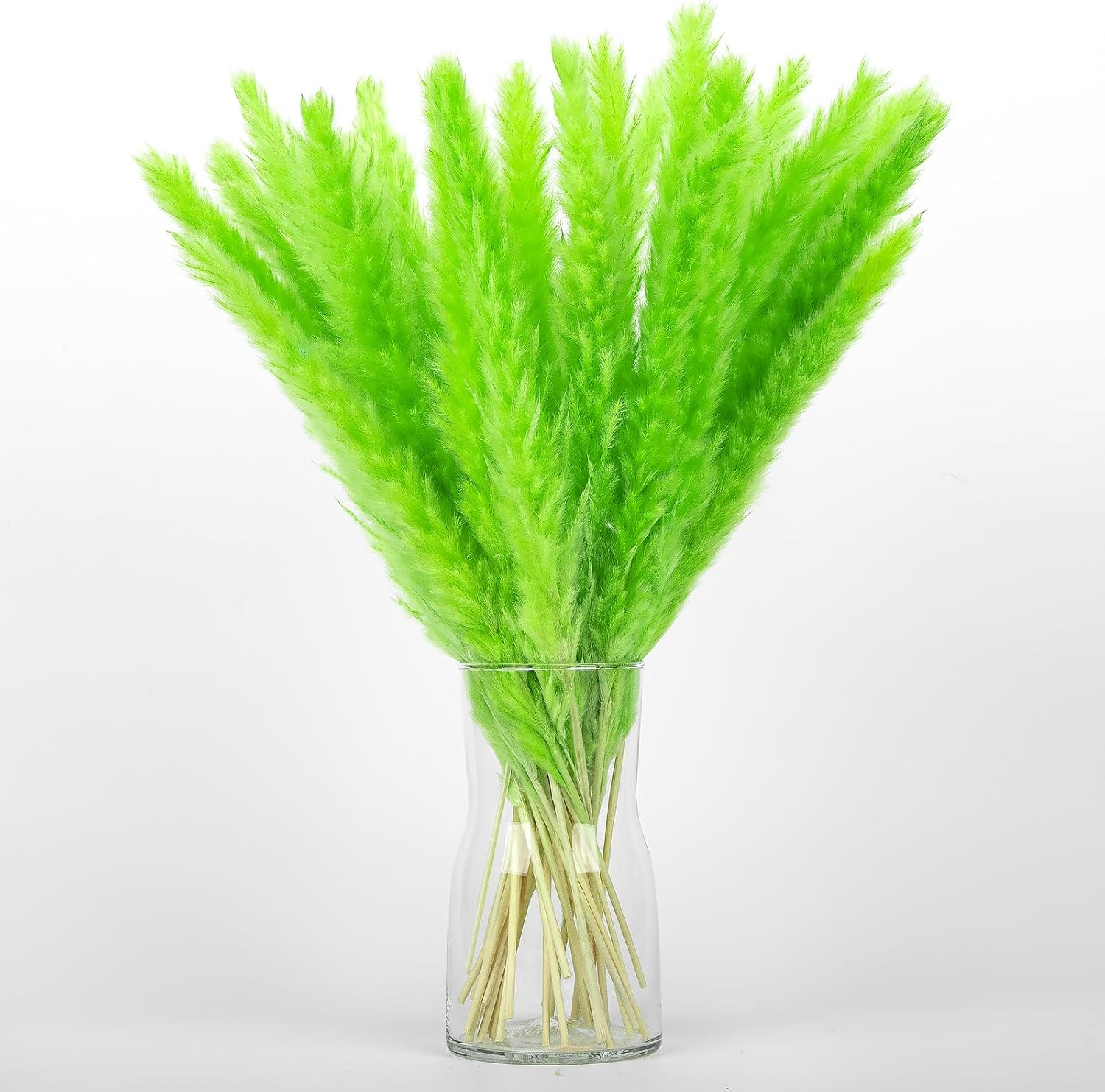 30PCS Green Pampas Grass Bouquet for Home and Gifting