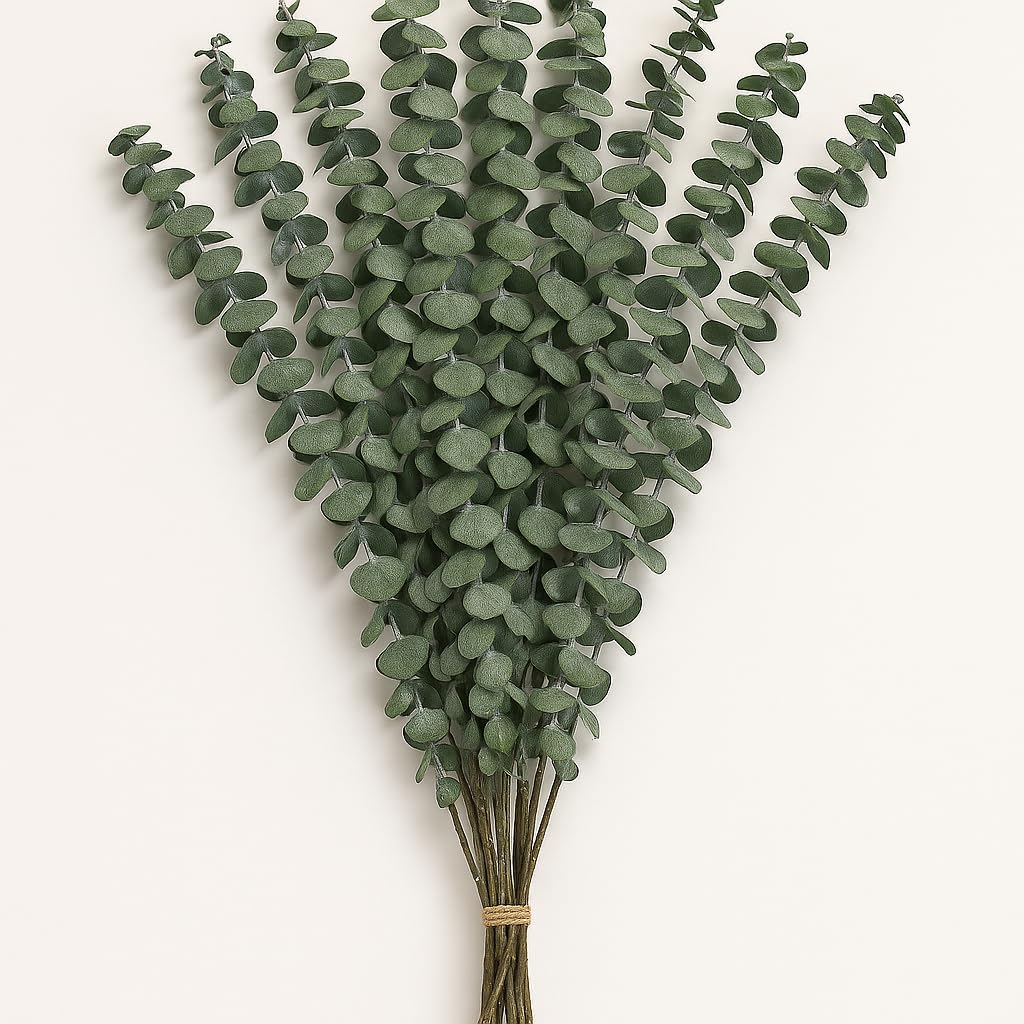 CozyKoala Dried Eucalyptus Decor 20 Stems