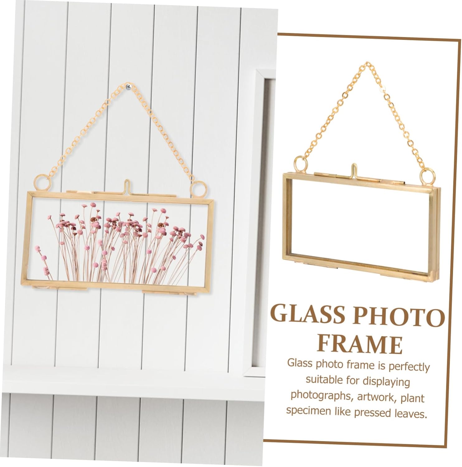 Healifty Brass Frame for Dried Flowers and Artwork Display