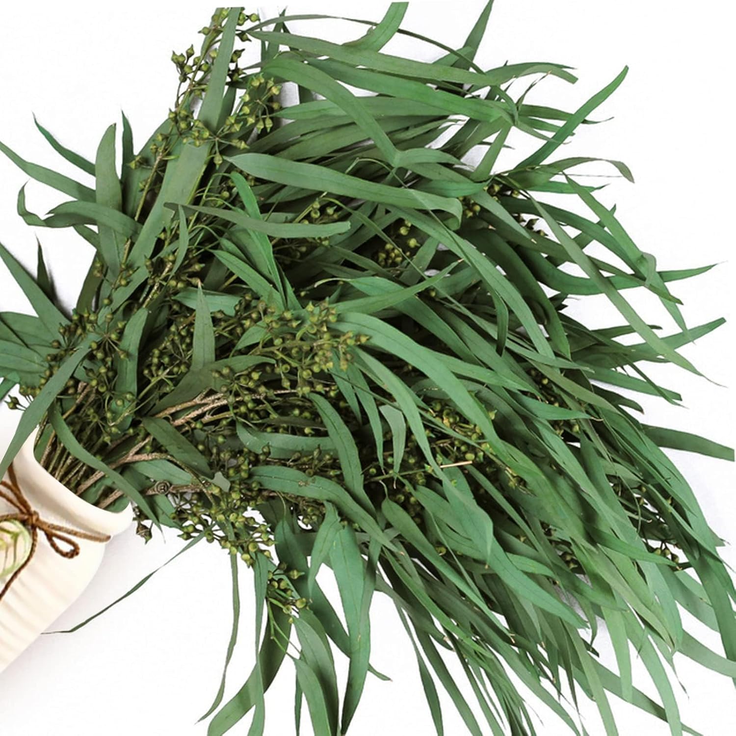 17 Inch Preserved Eucalyptus Stems for Home Decor