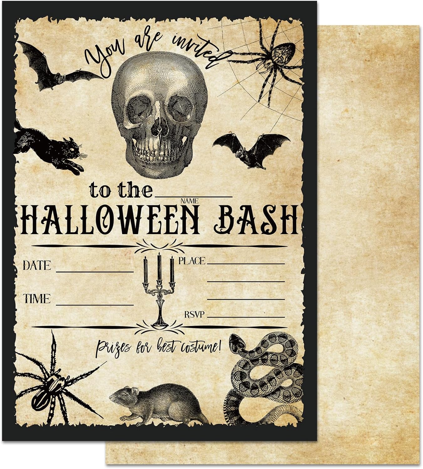 Whaline Halloween Invitation Cards with Envelopes Set of 25