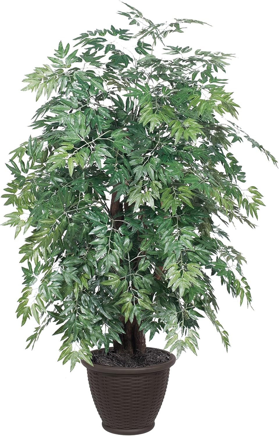 Vickerman 4ft Indoor Artificial Ming Aralia with Brown Container