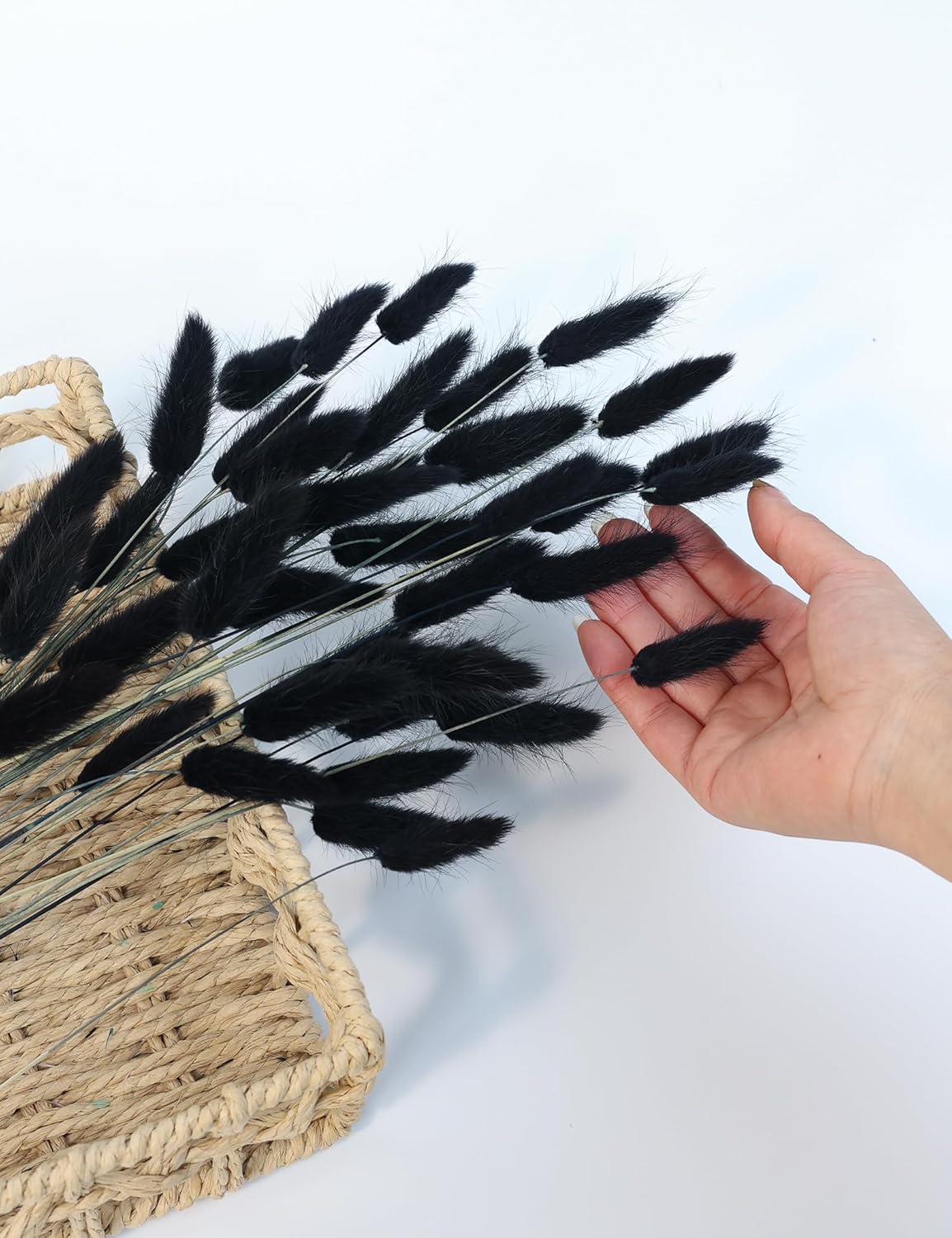 110pcs Black Dried Bunny Tail Flowers for DIY Decor