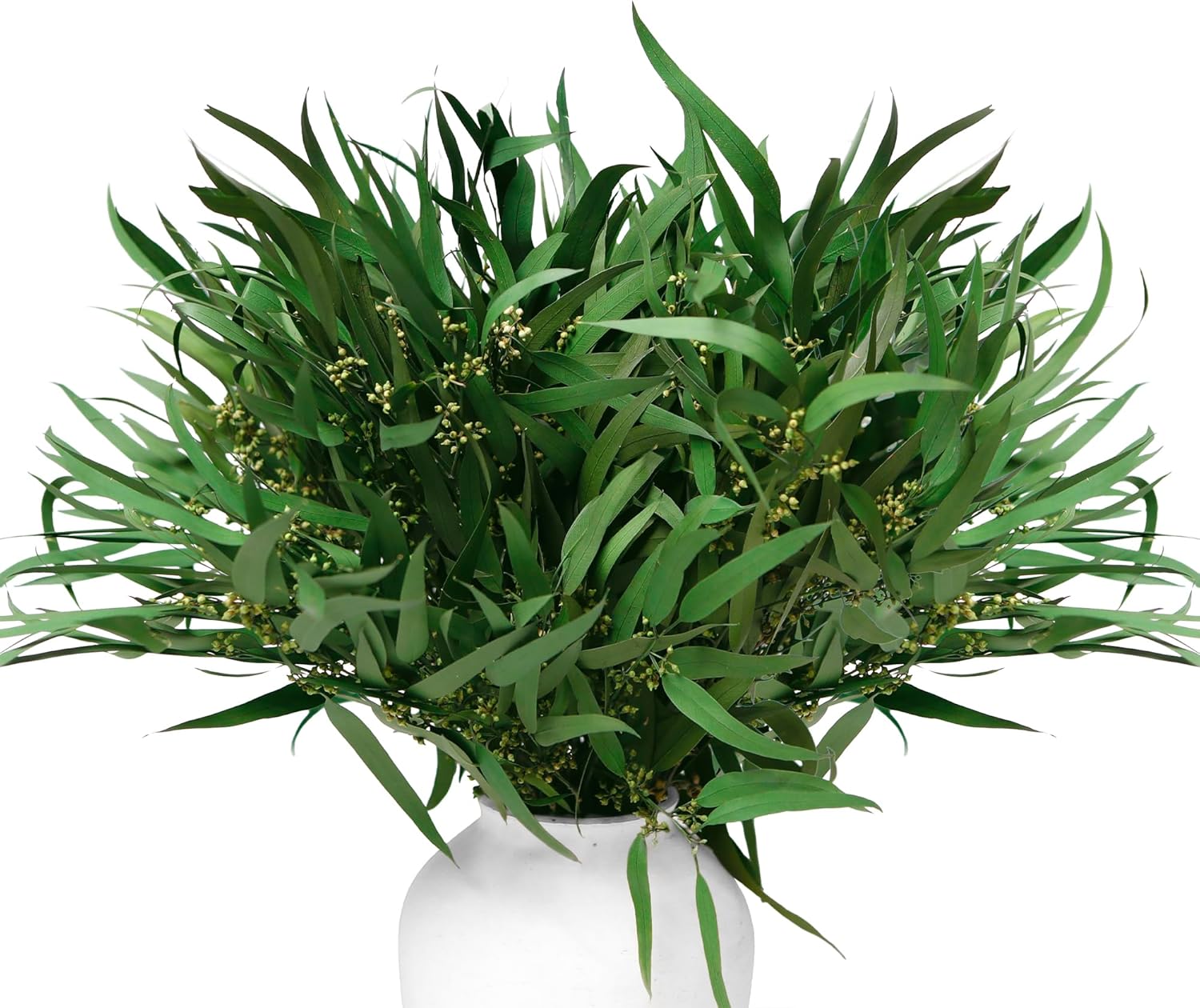 17 Inch Preserved Eucalyptus Stems for Home Decor